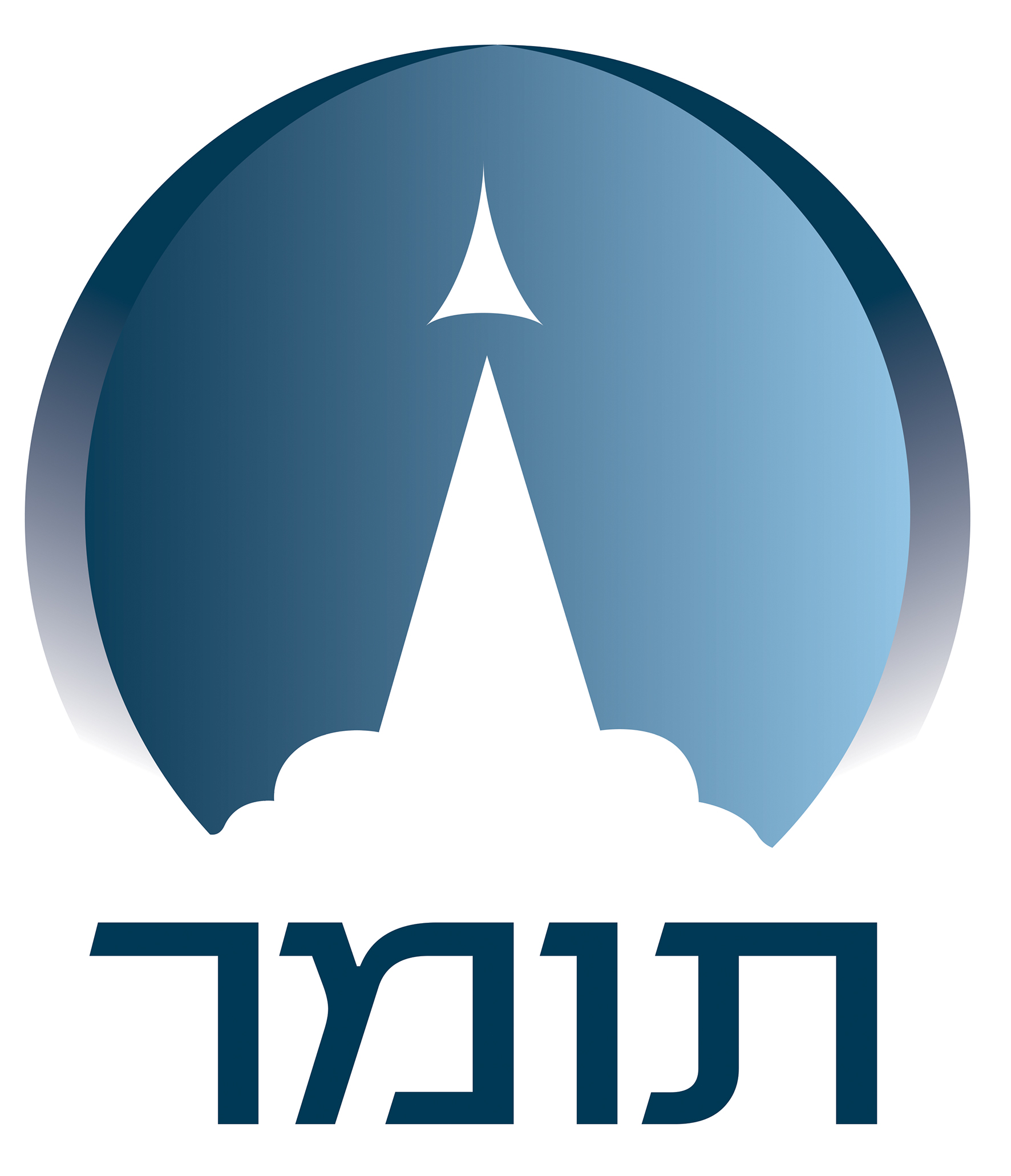 תומר חברה ממשלתית